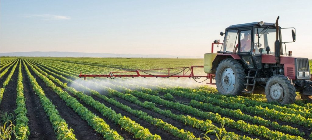 MODELO DE FOTO VERIFICA [o] thumbnail