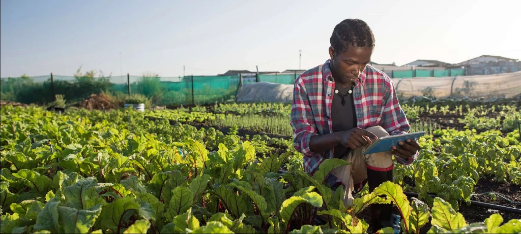 Verifica-Fotos_Prancheta-1 thumbnail