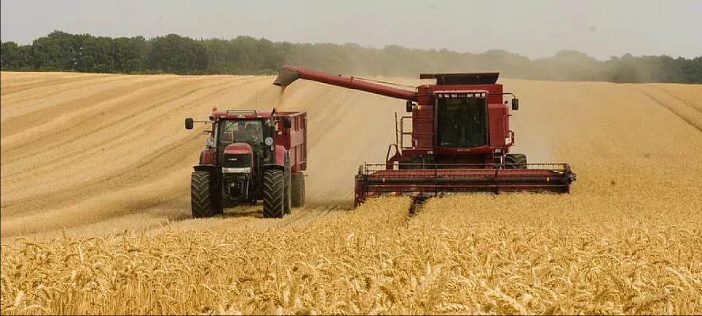 09 de Dezembro-verifica-02 thumbnail