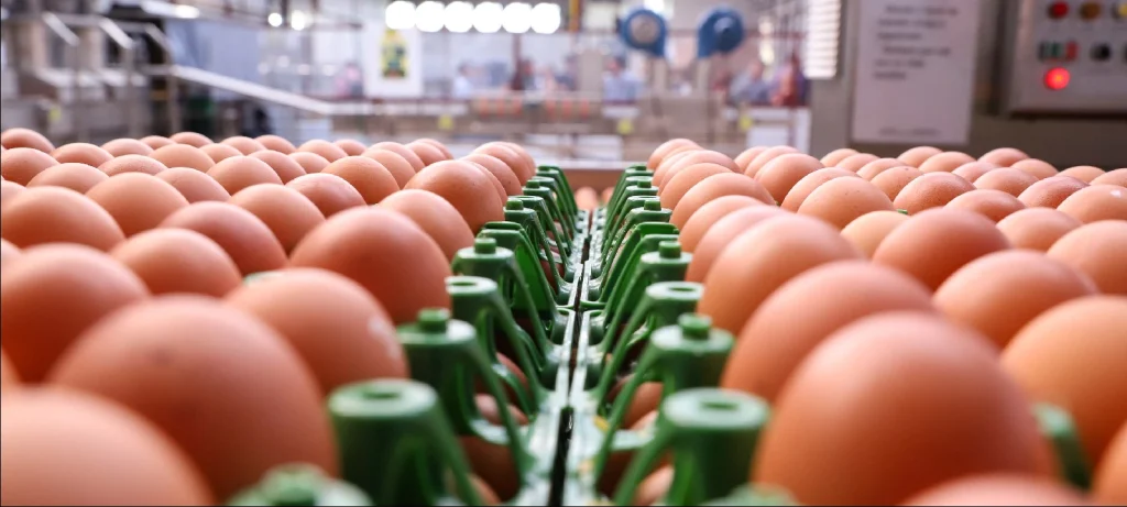 09 de Dezembro-verifica-03 thumbnail