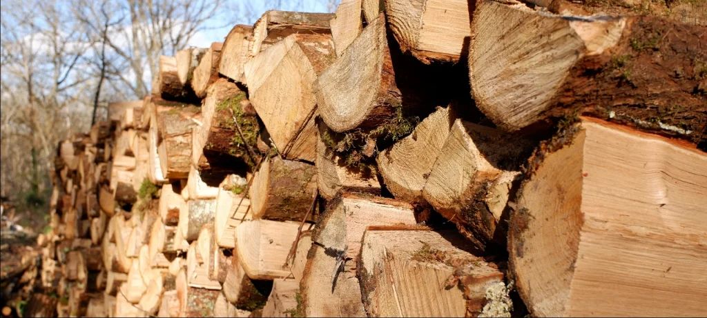 Foto-Verifcamadeira-03 thumbnail