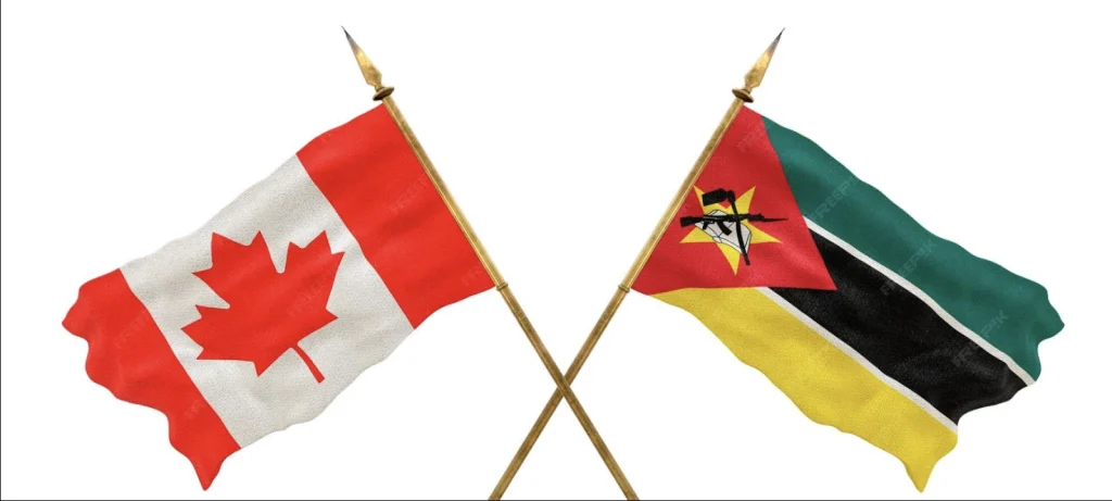 Moz-Canada VERIFICA -04 thumbnail